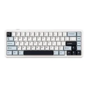 KEYBOARD AULA F65